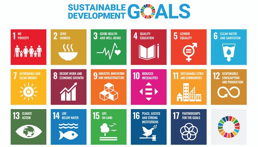 sustainable development goals.png
